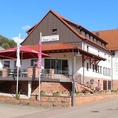 Hotel Drei Lilien Waldbrunn  Exteriör bild